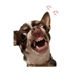 Hikari_20230402013207