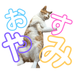 yun_20230402022725
