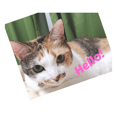 Hana_20230402095010