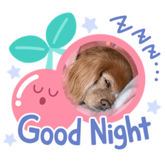 sakura_20230402084332