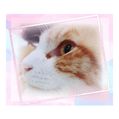 Saori_20230402102728