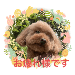 SAYURI_20230401233015