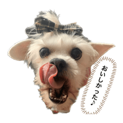 NOZOMI_20230402124627