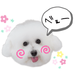 sayuri_20230402112553