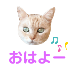 Sakura_20230402062536