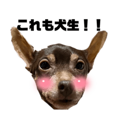 smile_20230402141458