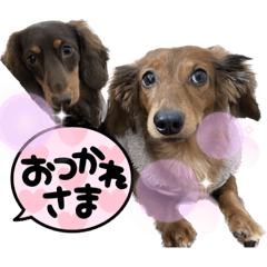 kana_20230403101504