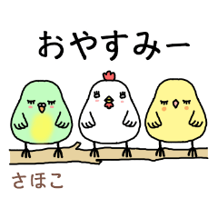 sahoko the world of birds