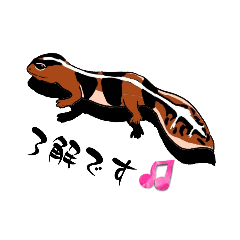 Loves reptiles, amphibians and insects