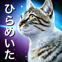 The space cat returns