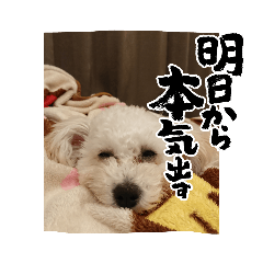 tomomi_20230402194629
