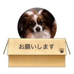 kuu_20230402195143