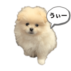 Cream_20230402200316