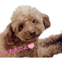 Sakura_20230402223936