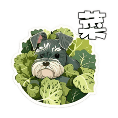 Schnauzer AI