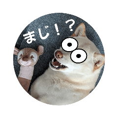 Chisa_20230402213229