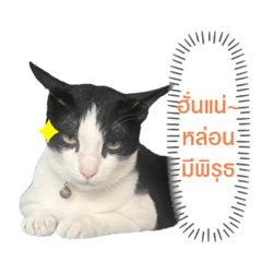 Itaooonoon_20230403123804