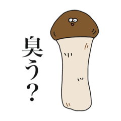 HIKARI_20230403130625