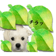 OOUME_20230403143309