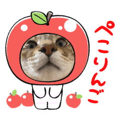 hikaru_20230403204411