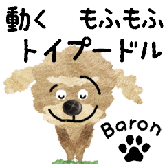 TOY POODLE "Baron" MOVE STICKER