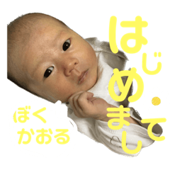 SAORI_20230403172830