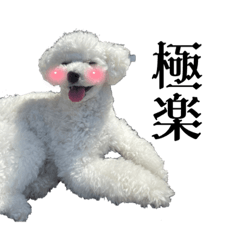 chisa_20230403201720