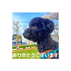 kana_20230403213217