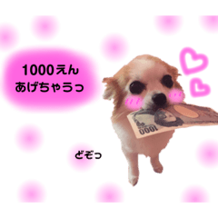 omochi_20230404005636