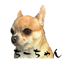 ichirou_20230404002919