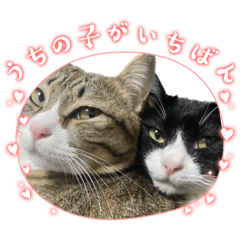 manzu_20230403191142