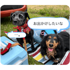 nao_20230403232855