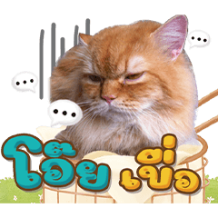 Taro short fuse