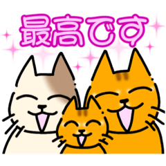 megumi_20230403200225