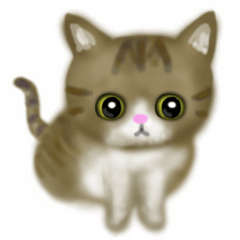 cute cat kijishiro-chan Sticker
