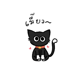 pure little black cat