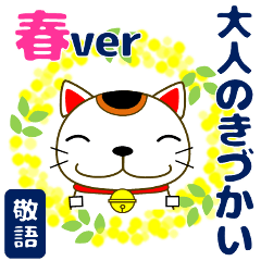 Japanese cat that brings happiness HARU