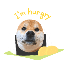 shibainudonko