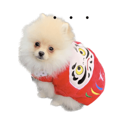 sakura_20230404074942