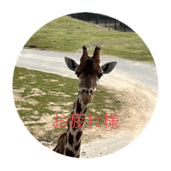 みんなハッピッピー