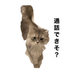 SAYURI_20230404133606