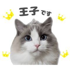 Prince Milky_20230404110410