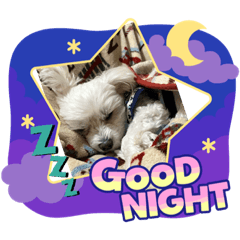 R IK I_20230404150131