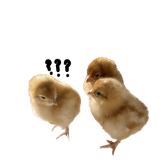 Sakura_20230404193455