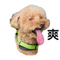 -波奇塔瑪的一天  2