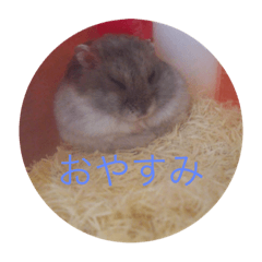 はむくるスタンプ