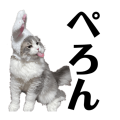 ayaoooo_20230404171816