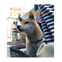 kosuke_2023