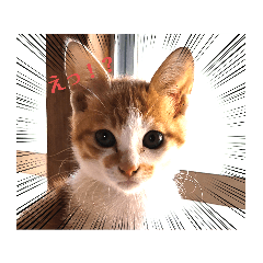 hana_20230404214051