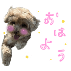 Hana_20230404221801